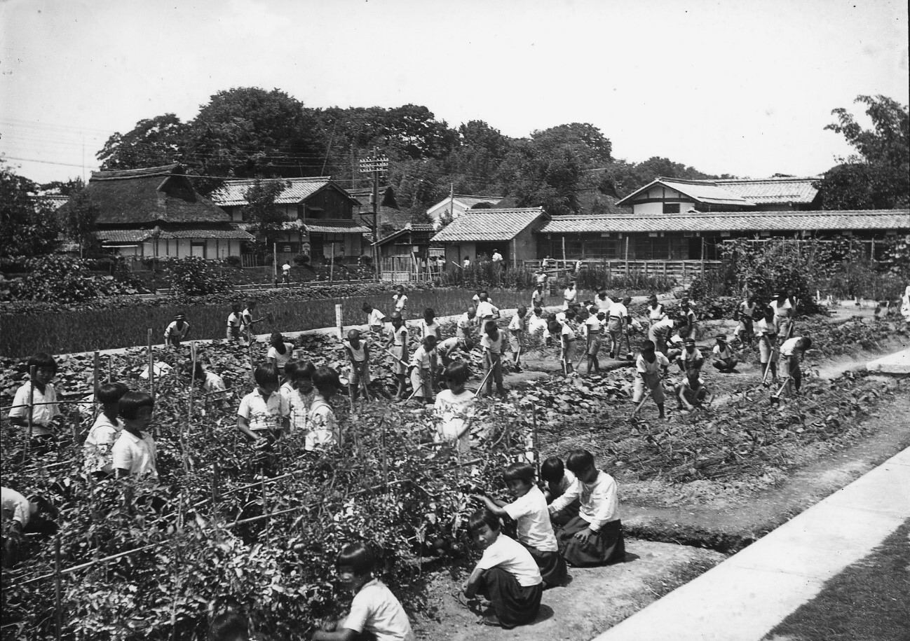 昭和10年代の豊郷小学校での実習農園の作業風景