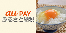 au payふるさと納税